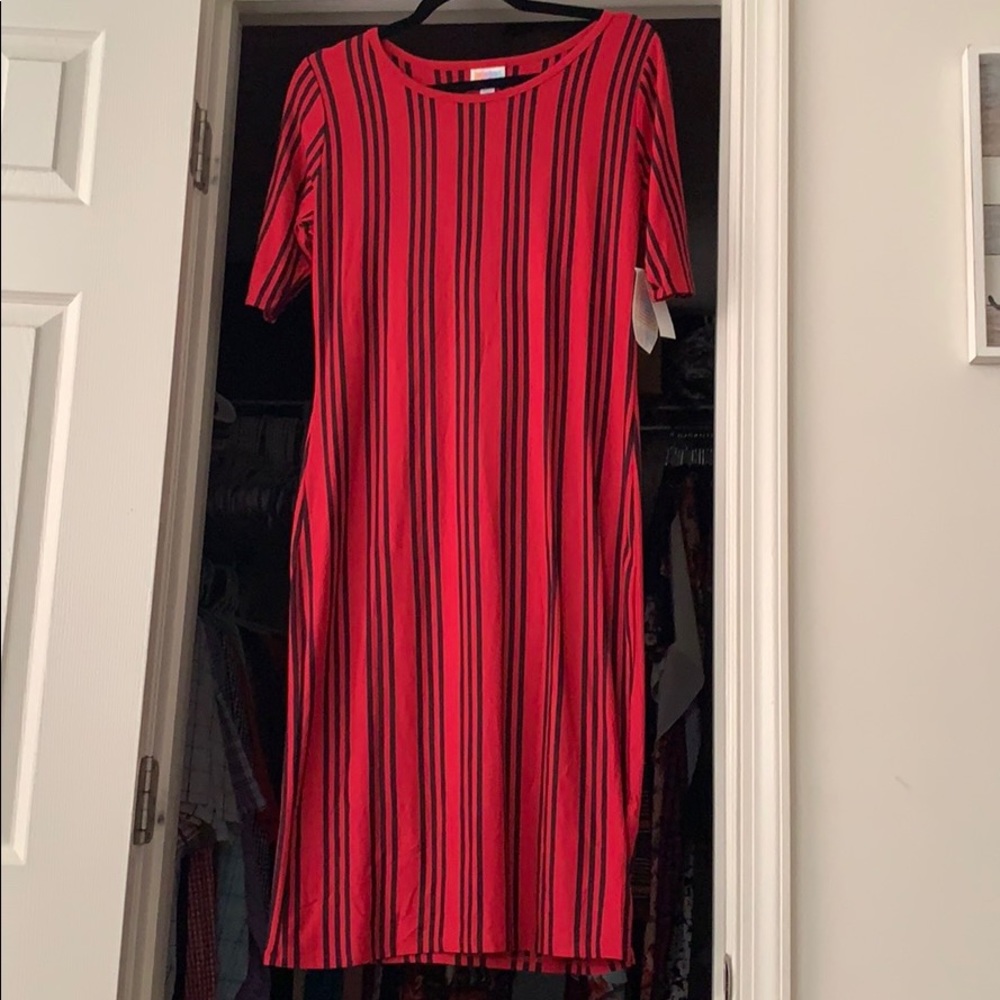 🌹LulaRoe Pinstriped Julia